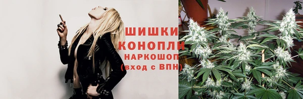 дмт Елизово