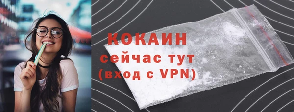 дмт Елизово