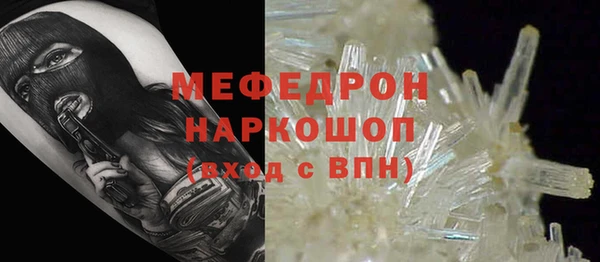 трава Ельня