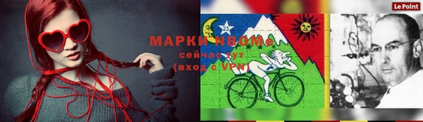 трава Ельня