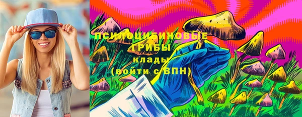 дмт Елизово