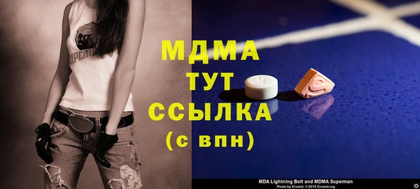 трава Ельня