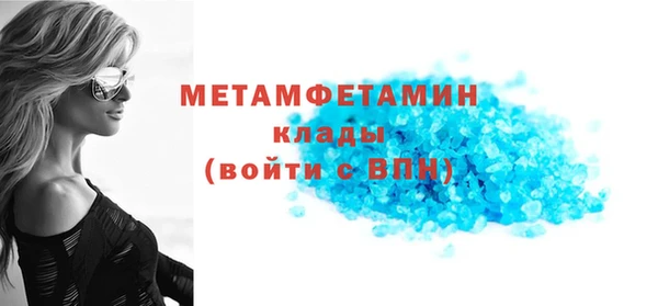 трава Ельня