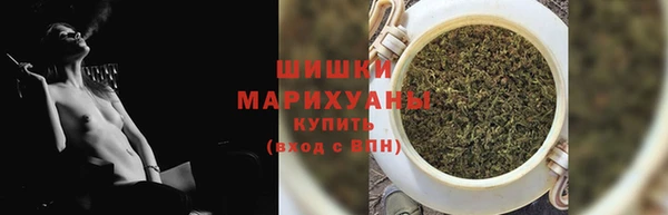 трава Ельня