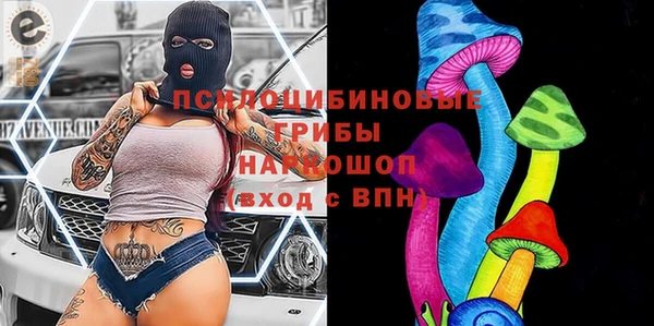 трава Ельня