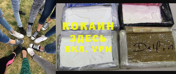 дмт Елизово