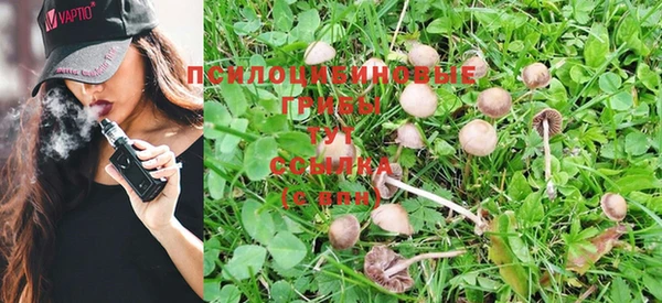 дмт Елизово