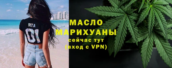 трава Ельня