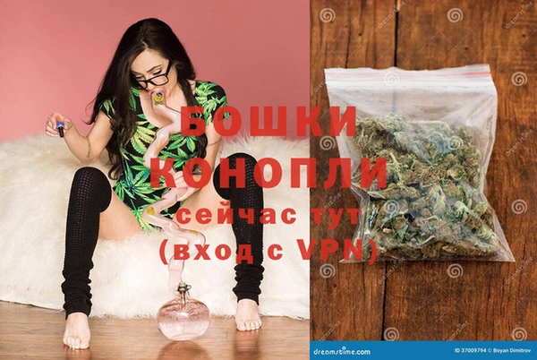 дмт Елизово