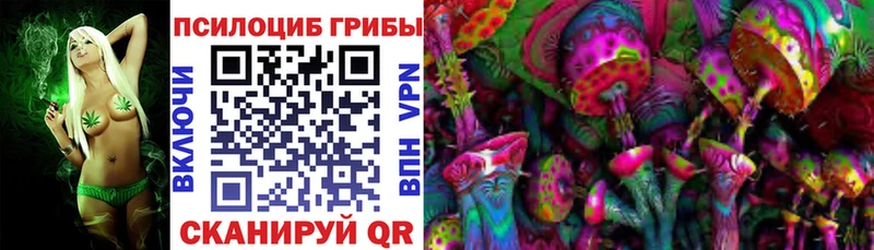 Псилоцибиновые грибы Psilocybe  Западная Двина 